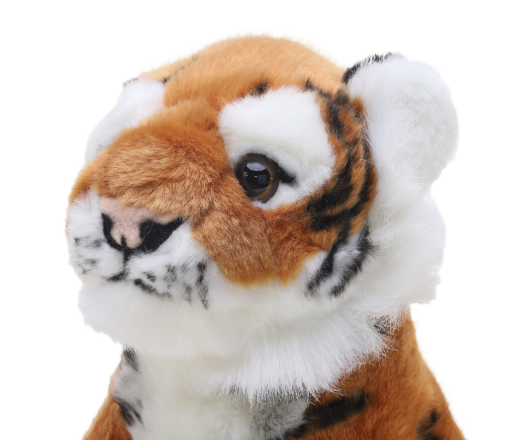Toyland